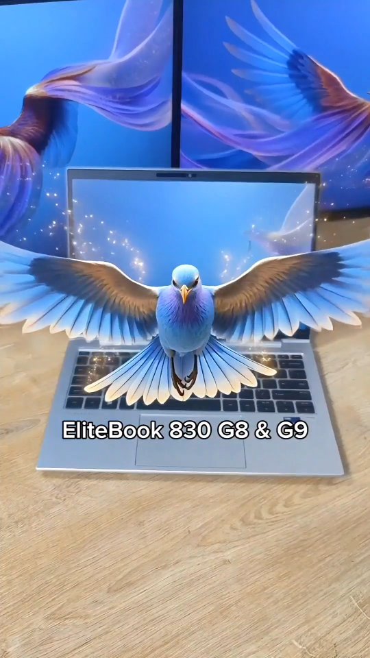 HP EliteBook Series